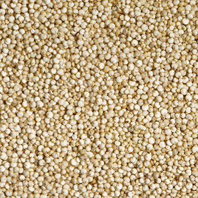 Grano de Quinoa