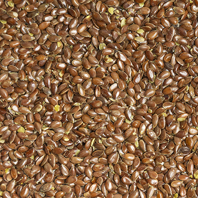 Semilla de Linaza